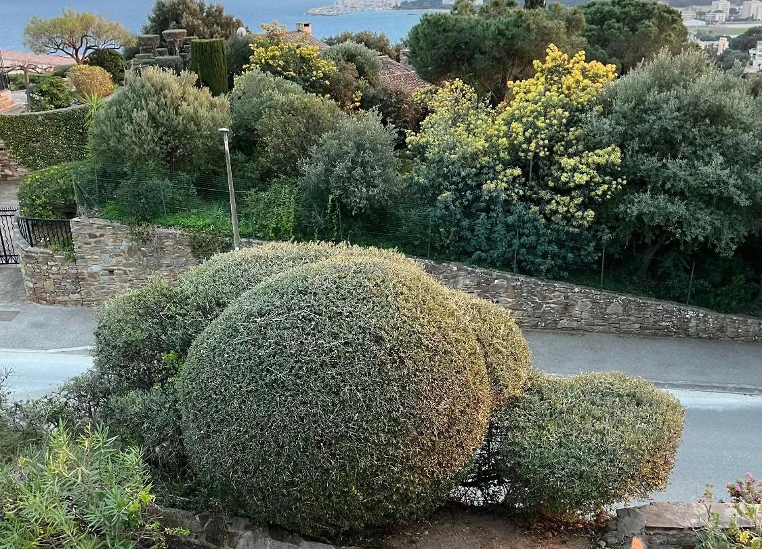 Villa Telma Le Lavandou 0*,  France